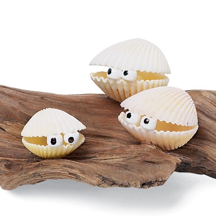 cockleshell-critters-craft-photo-420-FF0605CRAFTA12
